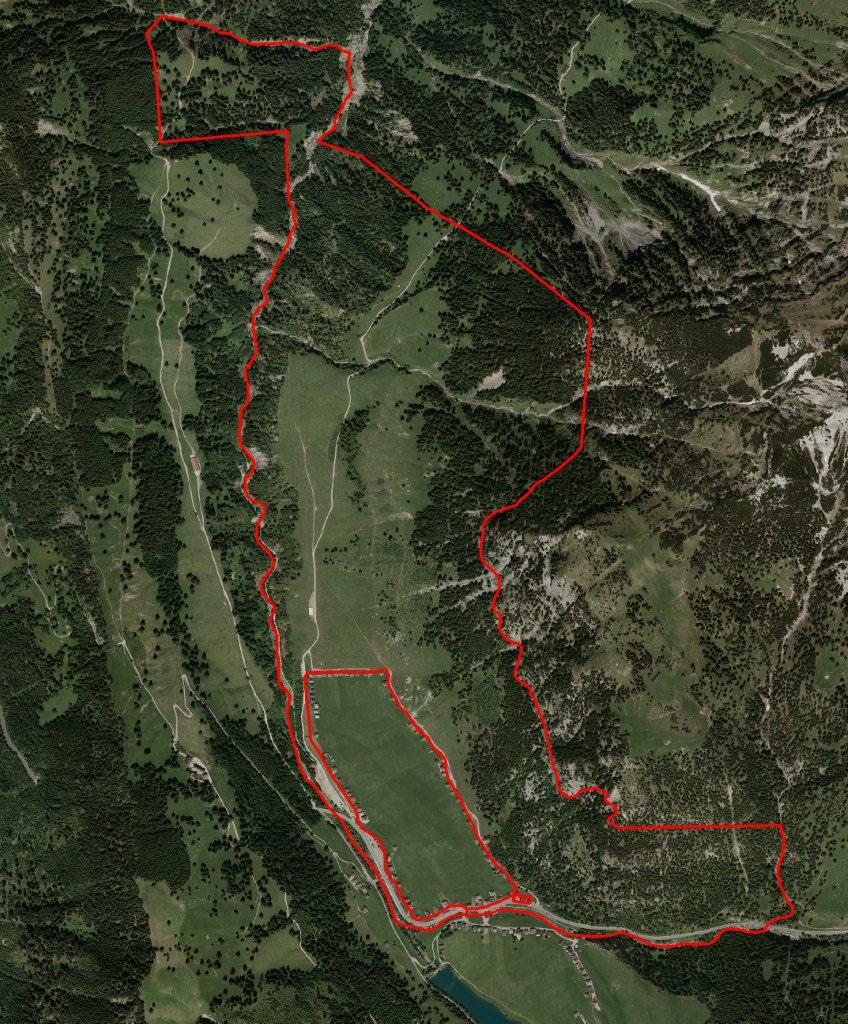 Gebiet der Alpgenossenschaft Gross-Steg